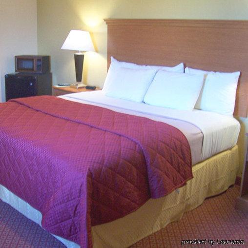 Executive Inn & Suites - Jewett Rum bild